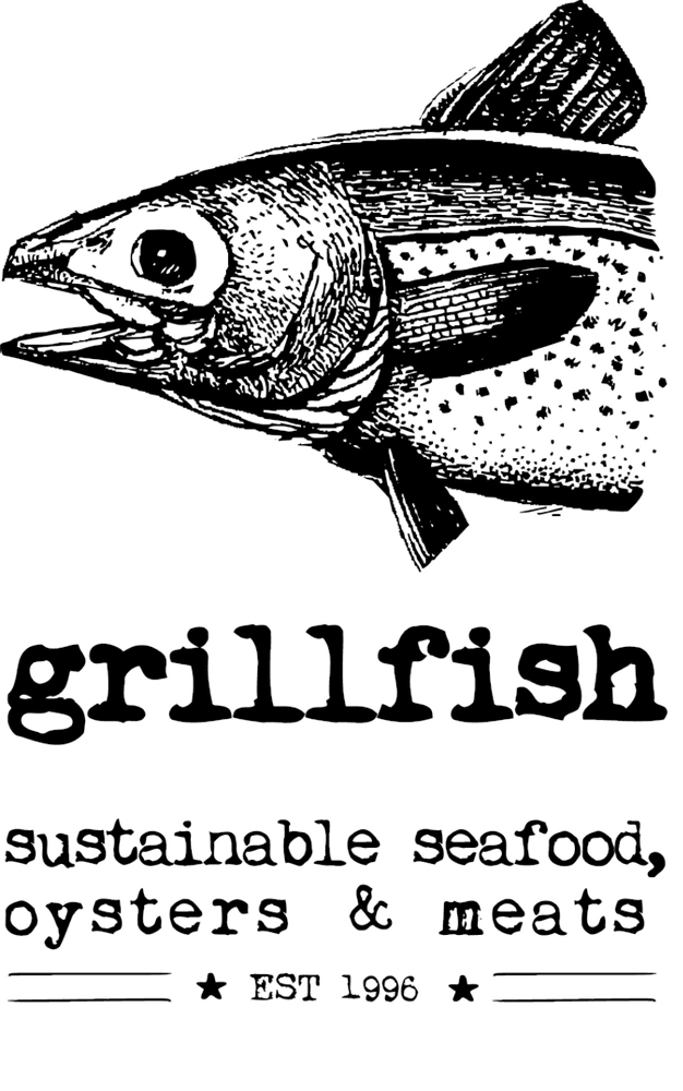 a close up of a logo